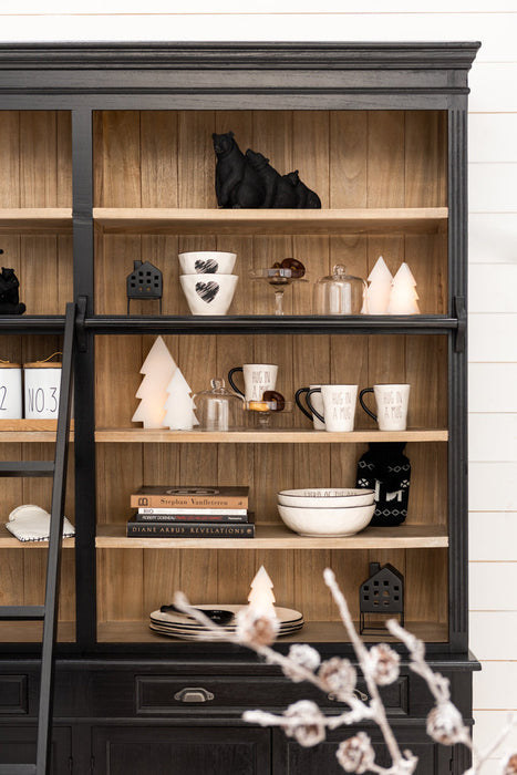 Bibliotheekkast+ladder Hout zwart/naturel-Boekenkasten-J-Line