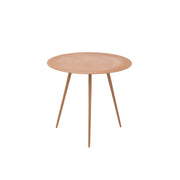 Bijzettafel Bruin Ijzer 46 cm 45.5x45.5x41 cm-Bijzettafels-J-Line