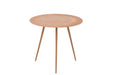 Bijzettafel Bruin ijzer 46 cm 45.5x45.5x41 cm-Bijzettafels-J-Line
