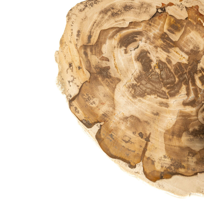 Rond tafelblad van beige versteend hout met natuurlijke houtnerf details, 35x30 cm.