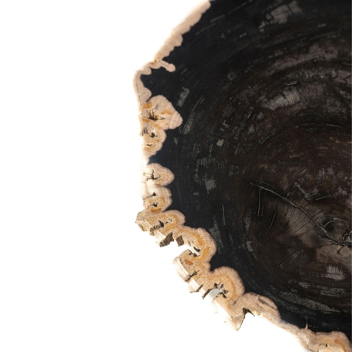 Zwarte bijzettafel Jisse van PTMD gemaakt van versteend hout met zichtbare natuurlijke houtnerf, 35x30 cm.