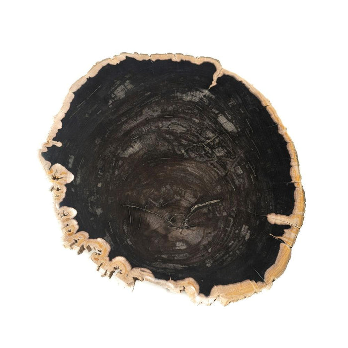 Bijzettafel Jisse Zwart Petrified Hout Sidetable Twist-Bijzettafels-PTMD