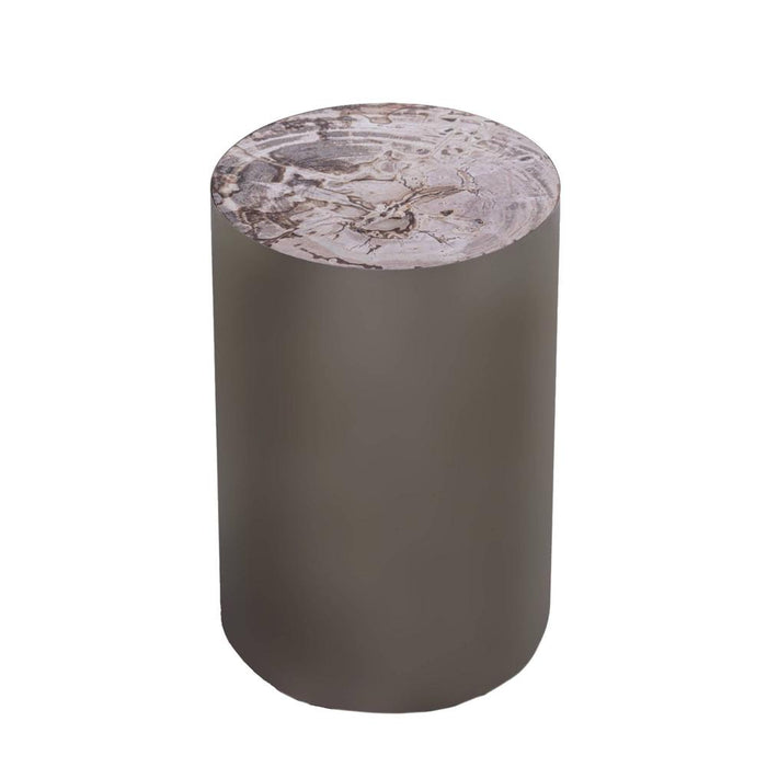 Bijzettafels Bijzettafel Rillix Naturel Petrified Hout Sidetable Nickel Rnd-Bijzettafels-PTMD