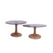 Brix Bijzettafel Glas Bruin 60 cm 60x60x45 cm-Bijzettafels-Livingfurn