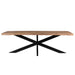 Brix Eettafel Mangohout Naturel hout 200x100 cm - 11977-Eettafels-Livingfurn