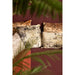 Decoratief kussen Ceola Groen Fluweel Vierkant Sierkussen Distress Print-Decoratief kussen-PTMD