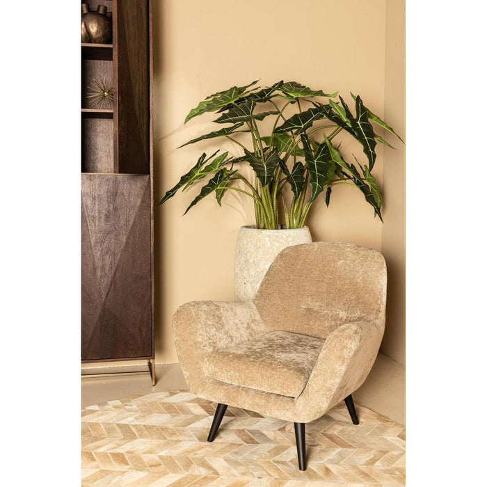 Donny Crème Fauteuil Zwart Houten-Fauteuils-PTMD