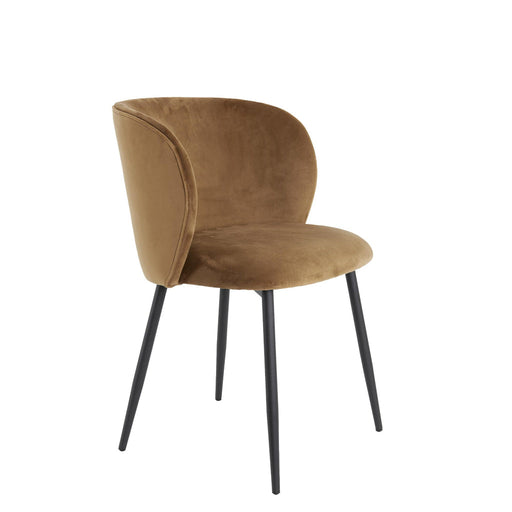 Eetkamerstoel Elyna - Bruin - 56x55x79cm-Eetkamerstoelen-Light & Living