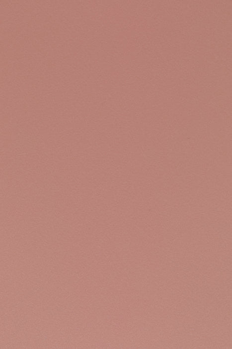 Eetkamerstoel Pip Polypropyleen Roze 53.5x46 cm-Eetkamerstoelen-Creating Home