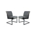 Eetkamerstoel Texas S/2-55x50x85-Grafiet/Grijs-Leder/Metaal-Eetkamerstoelen-HSM Collection