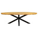 Eetkamertafel Denver | Ovaal | Mangohout | 160 cm-Eettafels-Starfurn