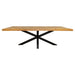 Eetkamertafel Denver | Rechthoek matrixpoot | 180 cm-Eettafels-Starfurn