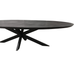 Eettafel Brandy Black | 210 cm | Ovaal-Eettafels-Starfurn