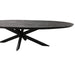 Eettafel Brandy Zwart - 160 cm - Ovaal-Eettafels-Starfurn