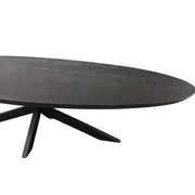 Eettafel Brandy Zwart 300 cm Ovaal 300x120x76 cm-Eettafels-Starfurn