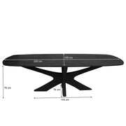 Eettafel Brix Eettafel Mangohout Zwart 220x100 cm-Eettafels-Livingfurn
