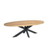 Eettafel Dakota | 210 cm | Ovaal-Eettafels-Creating Home