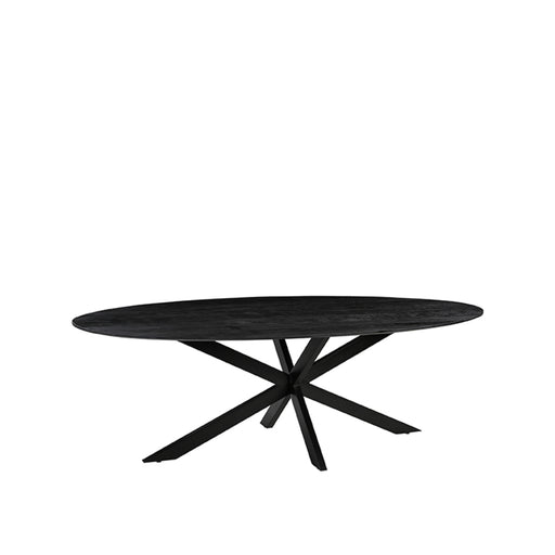 Eettafel Eetkamertafel James Zwart Mangohout 210 cm Ovaal-Eettafels-LABEL51