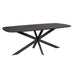 Eettafel Elegance Zwart - Deens ovaal - 200x100 cm-Eettafels-Starfurn