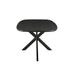 Eettafel Jesper Mangohout Zwart 210x105 cm-Eettafels-Livingfurn