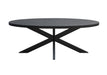 Eettafel Kala Mangohout Zwart 160x90 cm-Eettafels-Livingfurn