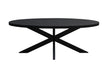 Eettafel Kala Mangohout Zwart 180x90 cm-Eettafels-Livingfurn