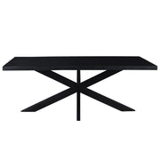 Eettafel Kala Mangohout Zwart 200x100 cm 12184-Eettafels-Livingfurn