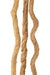 Floor Lamp Intertwined Branches Wood Natural-Vloerlampen-J-Line