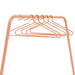 HANG-ON kledinghangers (set van 5 stuks) - Clay Terra Spinder Design-Kledinghangers-Spinder