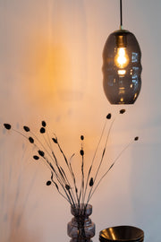 Hanglamp Charmante Bolvormige Glass Grijs 16.5x16.5x152 cm-Hanglampen-Creating Home