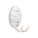 Kapstok BUG Wit 10x4.5x15cm Spinder Design-Kapstokken-Spinder