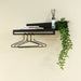 Kapstok SWAY 80 Zwart 78x30.3x18.1cm Spinder Design-Kapstokken-Spinder