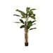 LABEL51 Kunstplant Musa Groen 110x110x180 cm-Kunstplanten-LABEL51