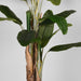 LABEL51 Kunstplant Musa Groen 110x110x180 cm-Kunstplanten-LABEL51