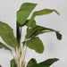 LABEL51 Kunstplant Musa Groen 110x110x180 cm-Kunstplanten-LABEL51