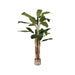 LABEL51 Kunstplant Musa Groen 110x110x180 cm-Kunstplanten-LABEL51