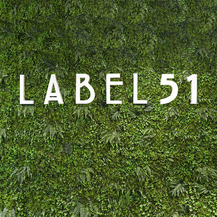 LABEL51 Artificial Plant Wall Panel Green 80x80 cm