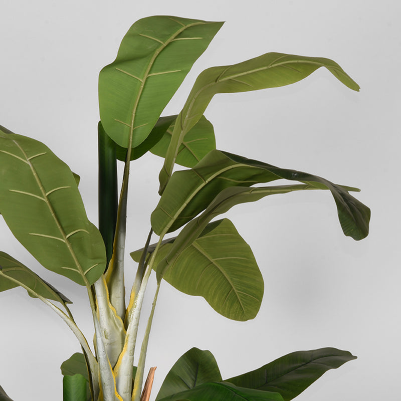 Musa Groen Kunststof 180 cm 110x110x180 cm-Kunstplanten-LABEL51