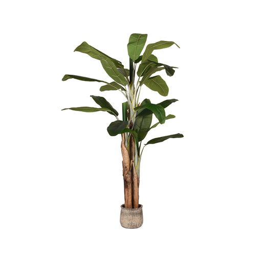 Musa Groen Kunststof 180 cm 110x110x180 cm-Kunstplanten-LABEL51