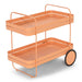 Opbergkast Trolly GIN & TROLLEY Staal Clay Terra 42x74x69.3cm-Opbergkasten-Spinder