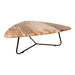 PTMD Deeba Coffeetable Versteend Hout 95-Salontafels-PTMD