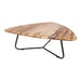 PTMD Deeba Coffeetable Versteend Hout 95-Salontafels-PTMD