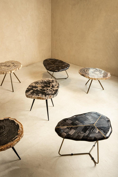 PTMD New Khine Versteend Hout Salontafel Messing sv3-Salontafels-PTMD