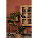 Plantenstandaard - mangohout/ijzer - set van 2-Plantenstandaards-HSM Collection