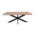 STARFURN Eettafel Boomstamtafel Boston 220 cm 220x100x76 cm-Eettafels-Starfurn