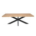 STARFURN Eettafel Dakota | 240 cm | Rechthoek-Eettafels-Starfurn