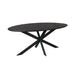 STARFURN Eettafel Eiken eettafel Ferris Ovaal 180 cm Zwart 180x100x76 cm-Eettafels-Starfurn