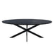 STARFURN Eettafel Eiken eettafel Ferris Ovaal 240 cm Zwart 240x110x76 cm-Eettafels-Starfurn