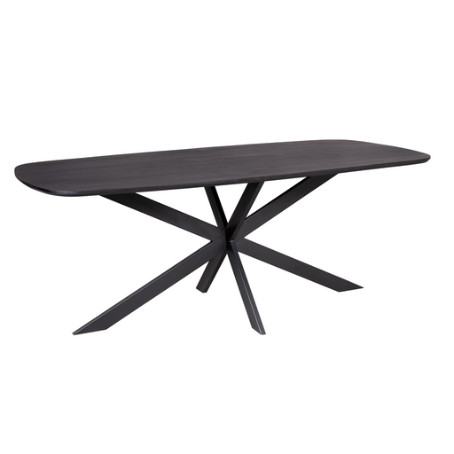 STARFURN Eettafel Elegance Zwart Deens ovaal 200x100 cm-Eettafels-Starfurn