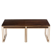 Salontafel Bruin Mangohout hout 60x120 cm-Salontafels-J-Line